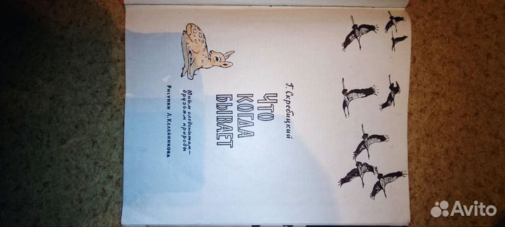 Г. Скребецкий. Книга что когда бывает