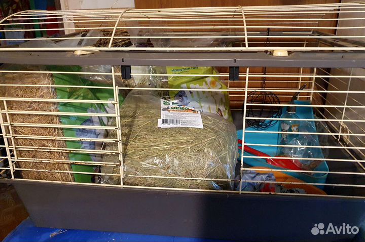 Клетка для морской свинки,кролика