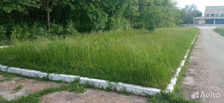 Сено в тюках