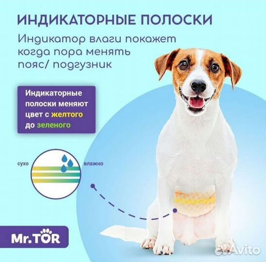 Одноразовые подгузники пояса для собаки- кобеля