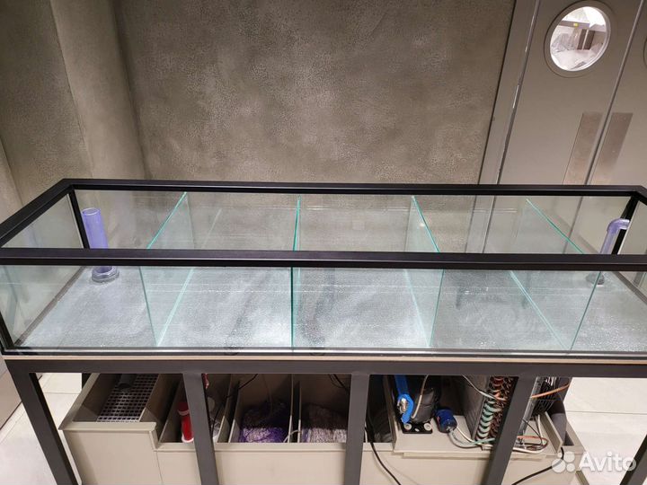 Аквариум для морепродуктов устриц краба гребешков