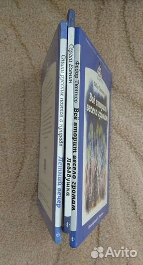 Книги Лебёдушка, Летний вечер, Все вторит весело