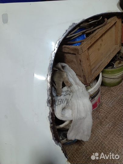 Крылья тоета