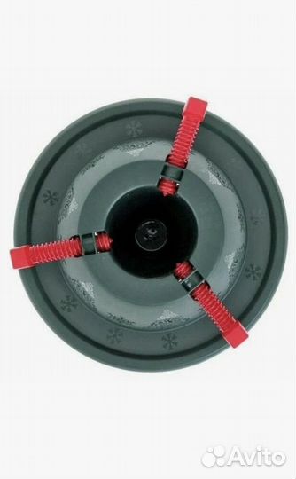 Живые ели и сосны