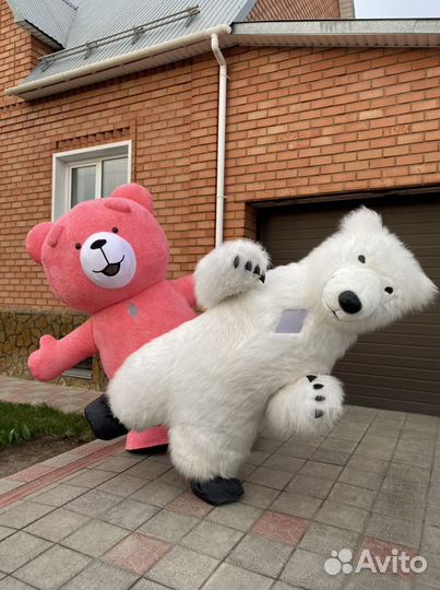 Мишки на поздравление