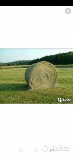 Сено в рулонах