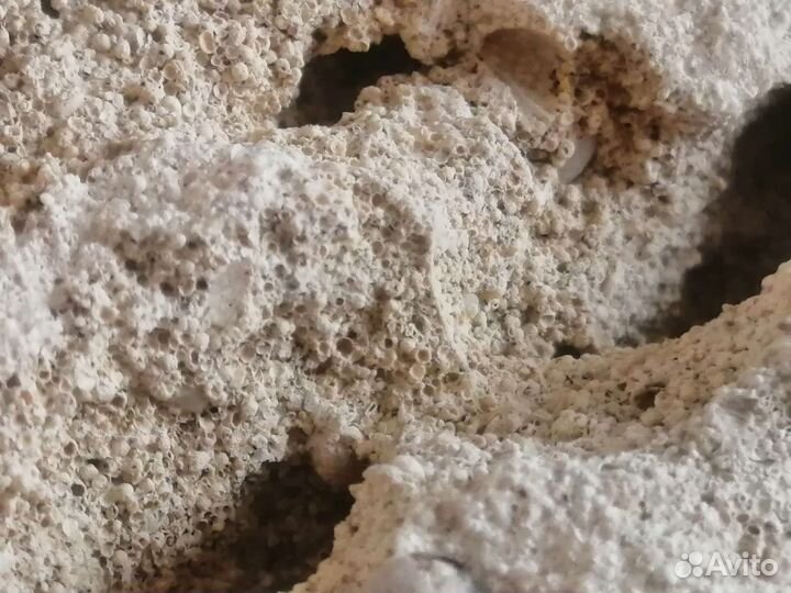 Миотис (песчаник) для аквариума