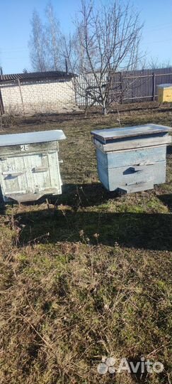 Ульи для пчел