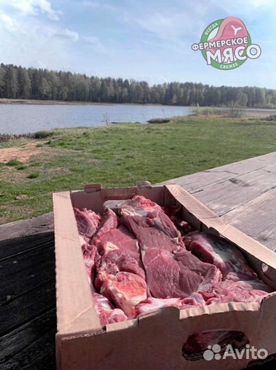 Мясо говядина