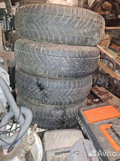 Maxxis AP2 All Season 185/70 R14