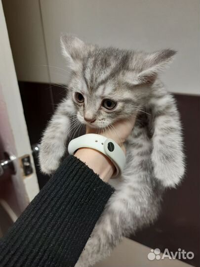 Девочка добрые руки