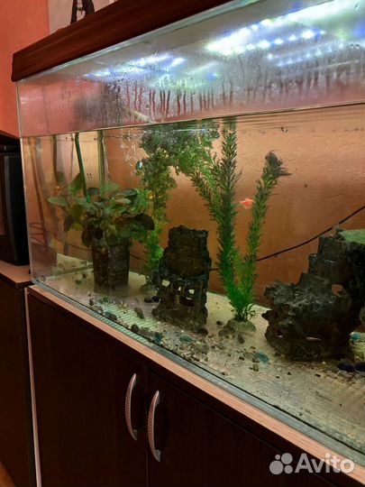 Аквариум