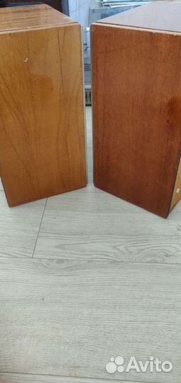 Акустическая система 15 ас 220 (кантата)