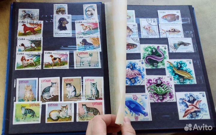 Альбом с коллекцией марки СССР