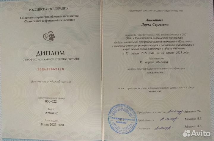 Выгул собак, кинолог