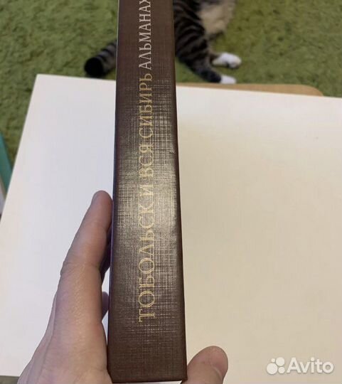 Тобольск и вся Сибирь. Книга десятая 2008