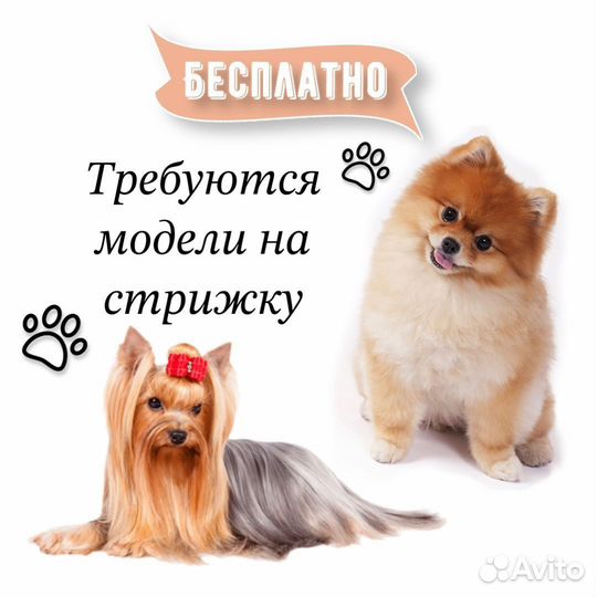 Модели для обучения