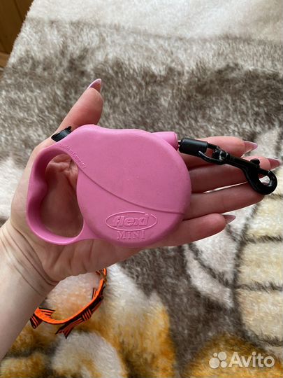 Ошейник и поводок для собачки