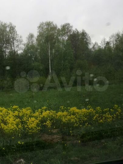 Участок 25 сот. (СНТ, ДНП)