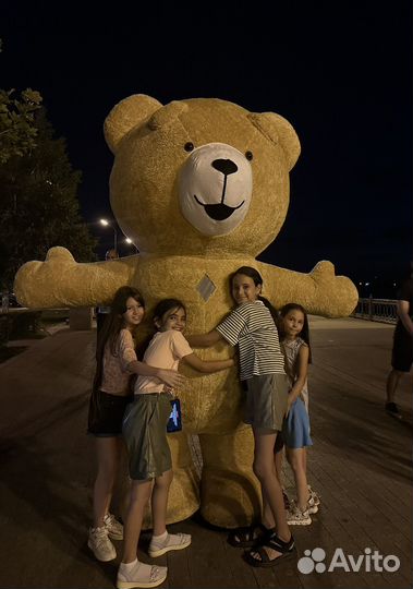 Поздравления от Тедди ростовая кукла медведь