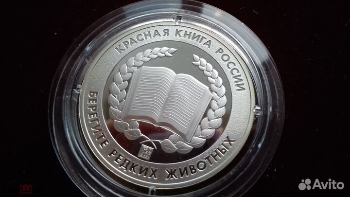 Кавказский тетерев, пруф, Монета