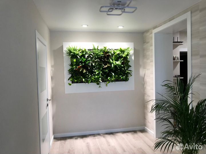 Вертикальное озеленение фитостена, фитокартина