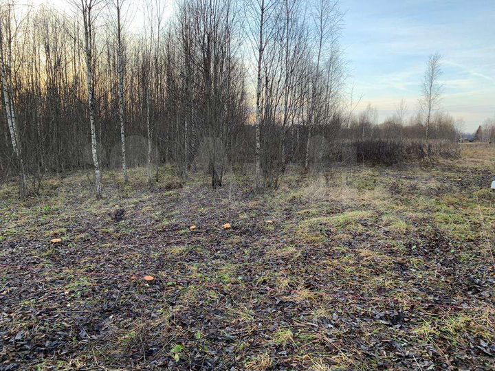 Участок 2 га (СНТ, ДНП)