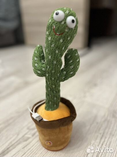 Танцующий кактус