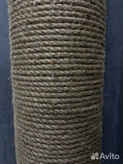 Когтеточка