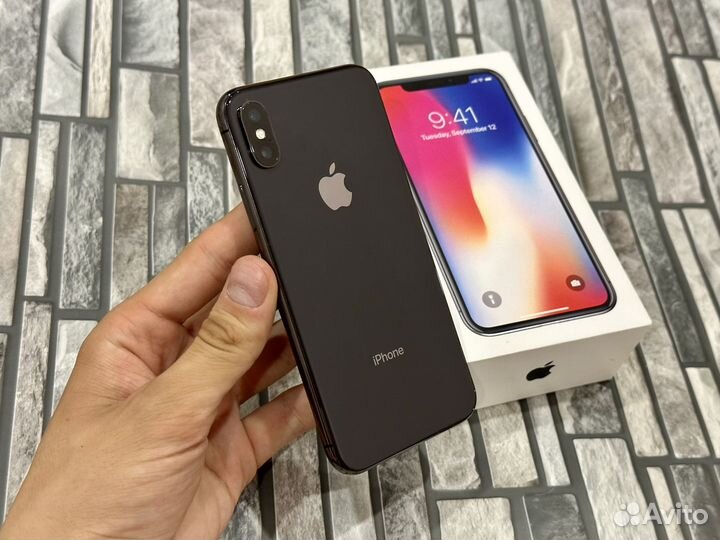 iPhone X, 256 ГБ