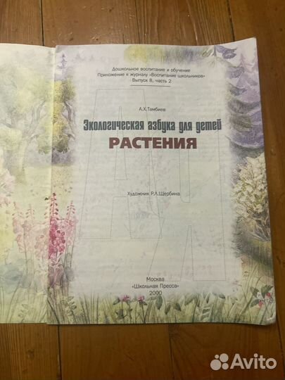 Экологическая азбука растения для детей