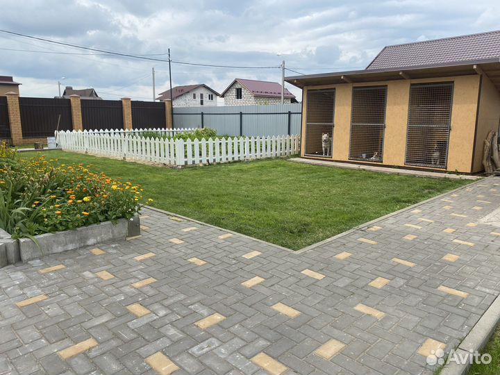 Профессиональная передержка собак (зоогостиница)