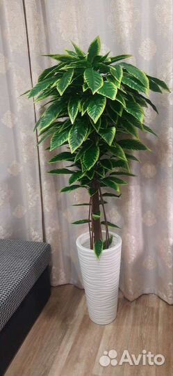 Искусственное дерево,манго