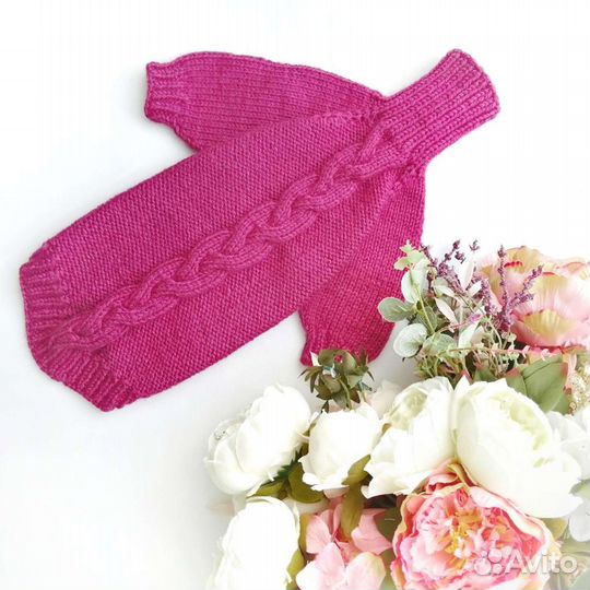 Одежда для собак, сфинксов