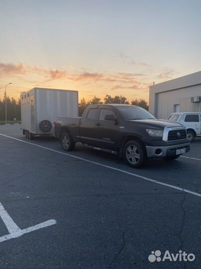 Конеперевозки 5 голов, коневоз, лошади, крс