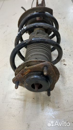 Амортизатор подвески Jeep Patriot 2010, 2011