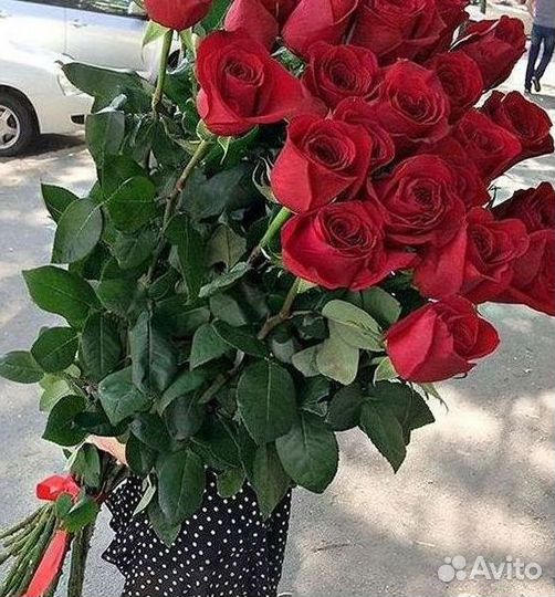 Высокие розы 150 160 170 180 190см доставка Москва