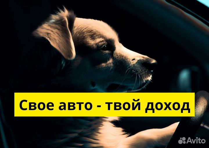 Яндекс Go ждет водителей на своих авто