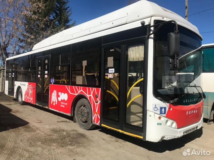 Городской автобус Volgabus Ситиритм 12 GLE, 2017