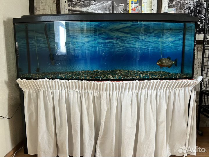 Аквариум 300 л