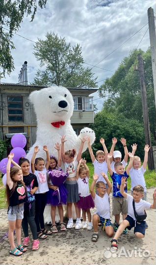 Белый Мишка Поздравления «Снежок»На праздники