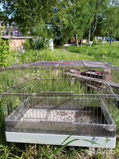 Клетки, боксы,для птиц