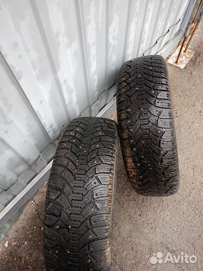 Cordiant Polar 185/65 R14