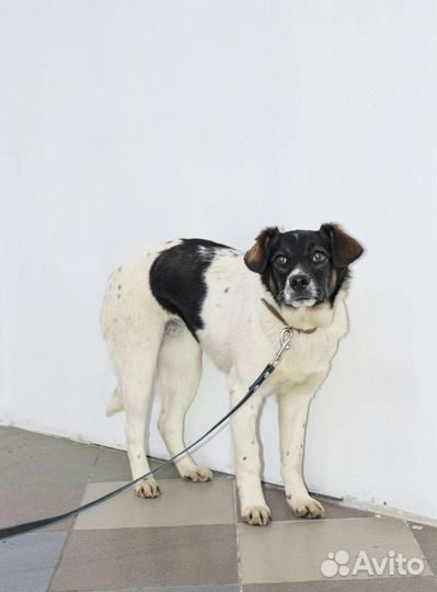 Малышка ищет семью