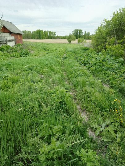 Участок 21,8 сот. (ИЖС)