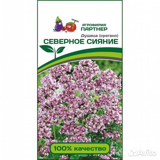 Душица Северное Сияние