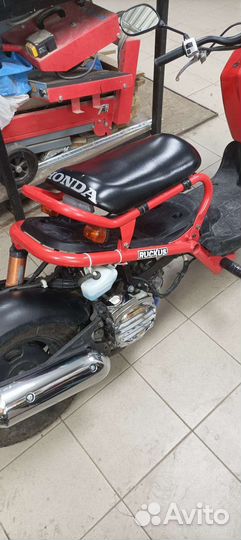 Honda rackus (zoomer)