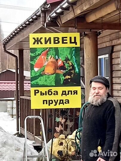 Живец на мурманском шоссе 24/7