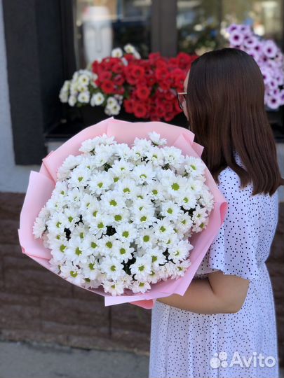 Цветы, букет гигант, хризантемы, ромашки