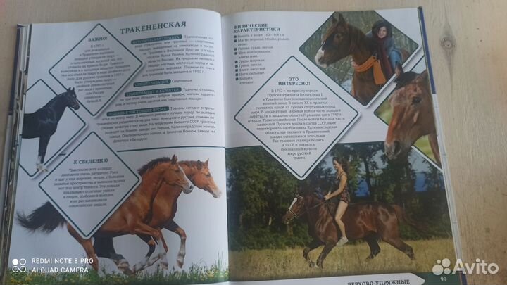 Сказочные и полезные книги о лошадях